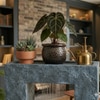 Square Planter Indoor Tabletop Water Fountain