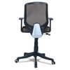 Xxeana Low Back Ergonomic Chair in Black Colour