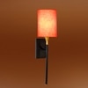 Devansh Metal Electric Wall Light in Black Colour with Orange Shade Count of 1 Light