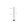 Dixon Black Glass Shade Floor Lamp