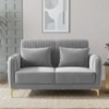 Monly Velvet 2 Seater Sofa Grey Color