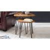 Minto Solid Wood Nested Tables - Set of 2