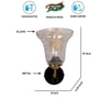 Devansh Metal Electric Wall Light in black Colour with Transparent Shade Count of 1 Light