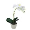 Beige 1 Pieces Orchid Artificial Plant With Pot
