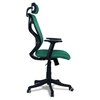Zeeazyana High Back Ergonomic Chair in Dark Green Colour