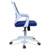 Xeanea Mid Back Ergonomic Chair in Blue Colour