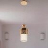 Eliante Modern Hanging Lights Mild Steel & Glass Material Gold & White Finish