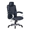Adiko Puffy Director Chair With Headrest In Black