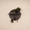 Lotus Wooden Wall Shelf Organiser With Key Holders