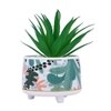 Attractive Aloe Vera Plant With Leafy Print Ceramic Pot