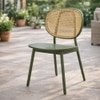 Mantis Veneer Dining Chair in Green Colour