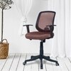 Xxeana Low Back Ergonomic Chair in Brown Colour