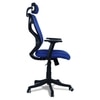 Zeeazyana High Back Ergonomic Chair in Blue Colour