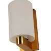 Eliante Modern Wall Lights Mild Steel & Glass Material Antique Gold & White Finish
