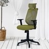 Zeeazyana High Back Ergonomic Chair in Pearl Green Colour