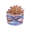 Sucullent Artificial Plant With Multicolored Stripes Along With Pot