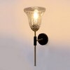 Devansh Metal Electric Wall Light in black Colour with Transparent Shade Count of 1 Light