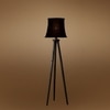 Devansh Tripod Floor Lamp