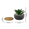 Artificial Aloe Vera Plant In A Patterned Ceramic Pot With A Wooden Plate