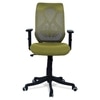 Zeeazyana Mid Back Ergonomic Chair in Pearl Green Colour