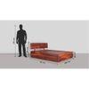 Sleepyhead Bed Gs | Premium Solid Sheesham Wood Queen Size Bed With Box Storage (Honey Brown)
