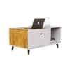 Hexa Engineered Wood Center Table With Storage And Open Rack In Frosty White And Giant Wood