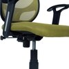 Goolda Low Back Ergonomic Chair in Pearl Green Colour