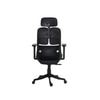 Merry Premium Ergonomic Office Chair High Back in Black Colour
