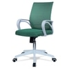 Mmarveal Mid Back Ergonomic Chair in Dark Green Colour