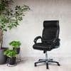 Mearisha High Back Executive Chair in Black Colour