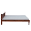 Elmspire Solid Wood Queen  Size Bed Without Storage (Honey Oak Finish)