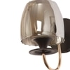 Eliante Modern Wall Lights Mild Steel & Glass Material Brown, Gold & Smoke Finish