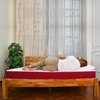 Bone Zone with Rebotech Tech  Mattress (72 x 42 in, 8 Inches)