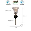 Devansh Metal Electric Wall Light in black Colour with Transparent Shade Count of 1 Light