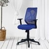 Zeeazyana Mid Back Ergonomic Chair in Blue Colour
