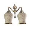 Devansh Metal Electric Wall Light in Multi Colour with Multi Shade Count of 2 Lights