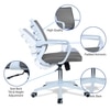 Iinea Mid Back Ergonomic Chair in Grey Colour