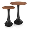 Calla Solid Wood Side Tables Set of 2 in Dual Tone Amber Walnut and Black Finish