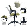 Ddeasirea Mid Back Ergonomic Chair in Pearl Green Colour