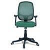 Goolda Low Back Ergonomic Chair in Dark Green Colour