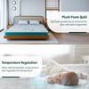 Kurlon Kurlobond Essential Mattress 5 inch Double Bonded Foam Mattress (L x W: 72 inch x 48 inch)