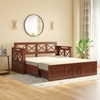 Bram 3 Seater Sofa Cum Bed in Honey Finish with Macadamia Brown Colour
