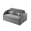 Jayen  Pull Out Sofa cum Bed  in Grey Colour