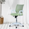 Naamikoa Mid Back Ergonomic Chair in Pearl Green Colour