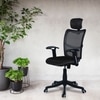 Jeaorda High Back Ergonomic Chair in Black Colour