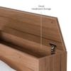 Vienta Engineered Wood Single  Size Bed With Box Storage (Brentwood Oak Brown Finish)