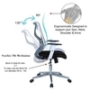 Wiwngas Mid Back Ergonomic Chair in Black Colour