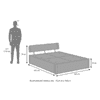 Lucy Queen Size Box Storage Bed Queen Size In Teak Finish