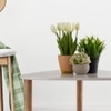 Metalsmith Solid Wood Side Table in White & Natural Finish
