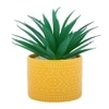 Highly Attractive Aloe Vera Plant With A Designer Ceramic Pot